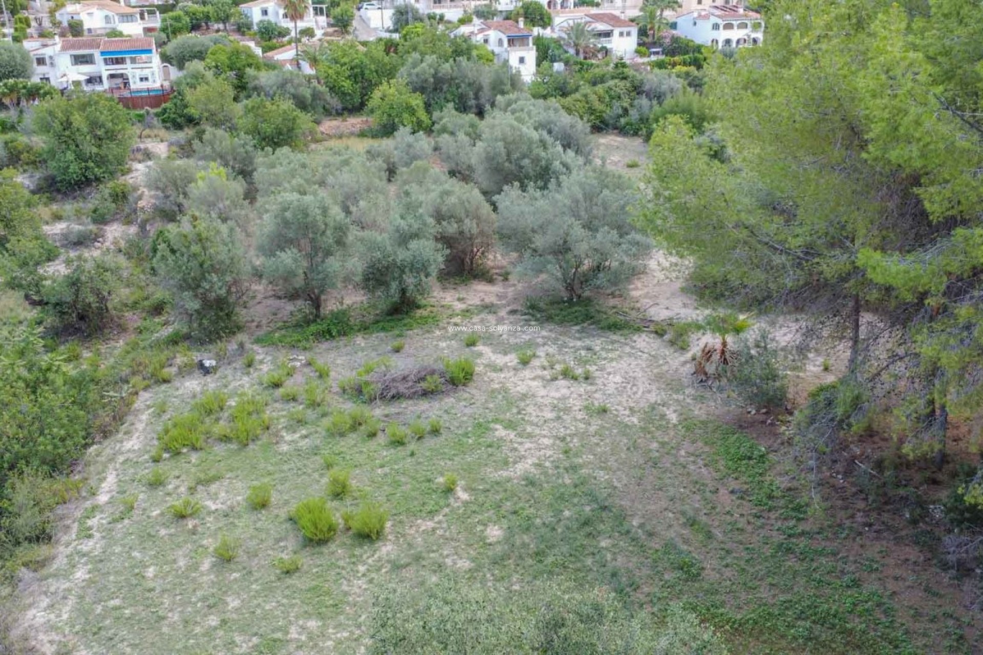 Resale - Commercial - Orba - Inland