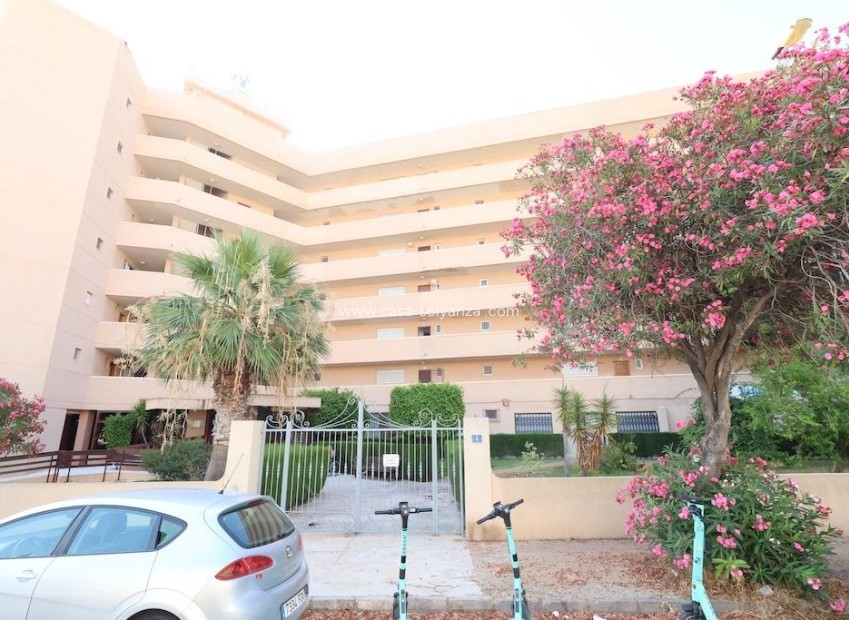 Resale - Commercial - Orihuela Costa - La Zenia