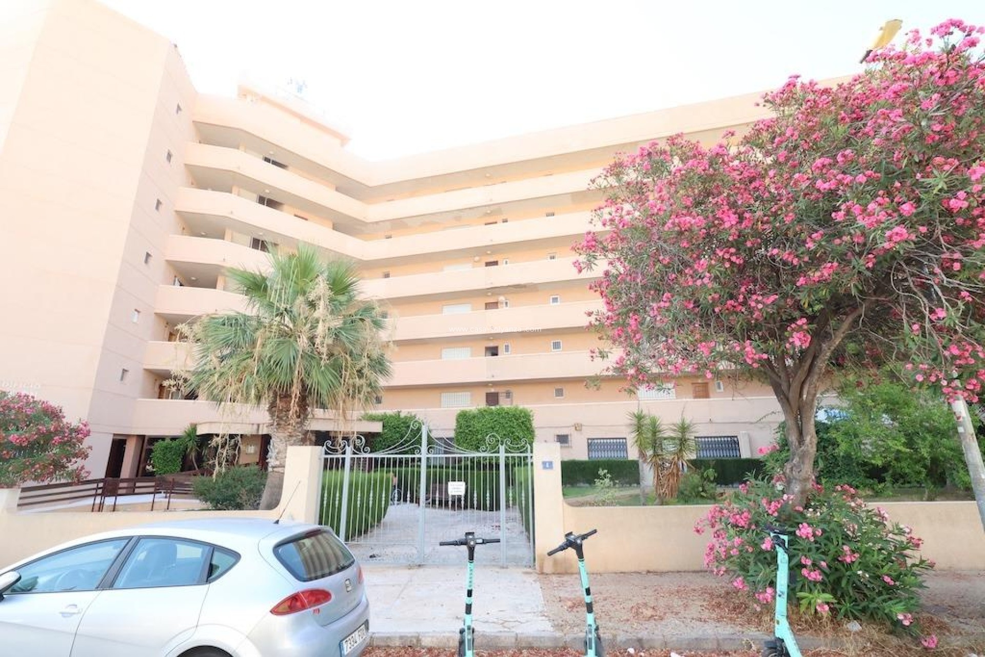 Resale - Commercial - Orihuela Costa - La Zenia