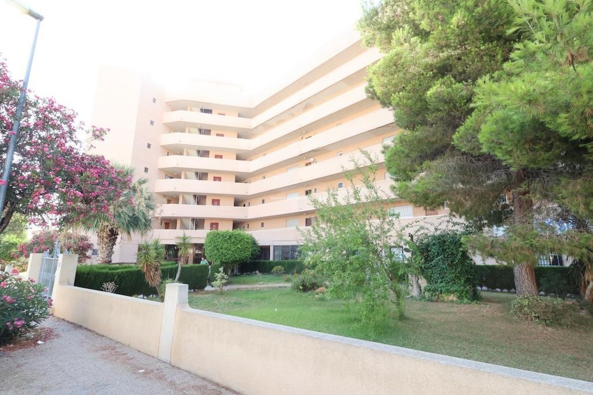 Resale - Commercial - Orihuela Costa - La Zenia