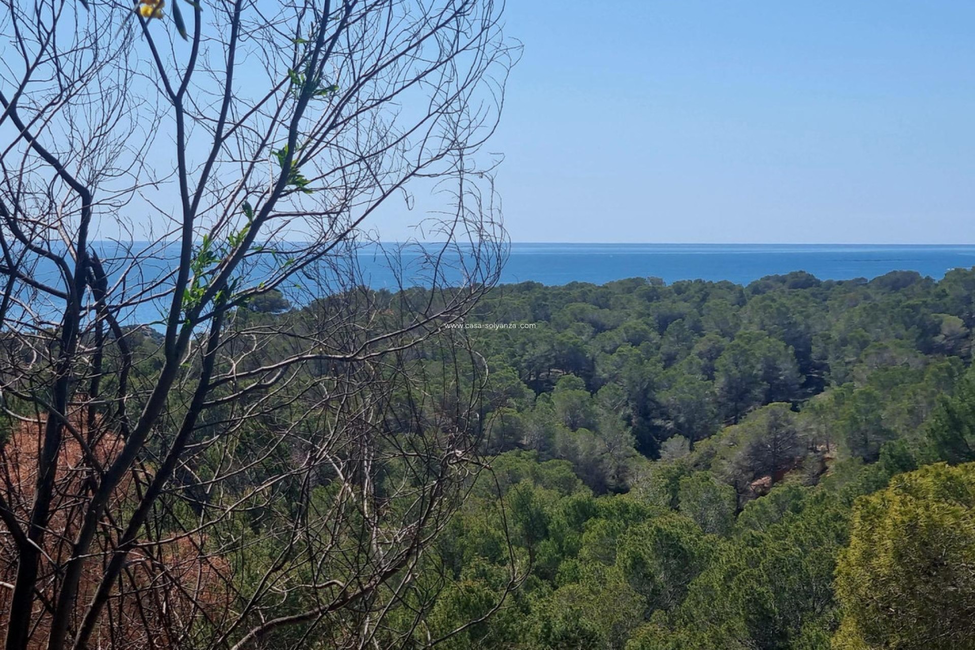 Resale - Commercial Property - Altea - Altea Centro