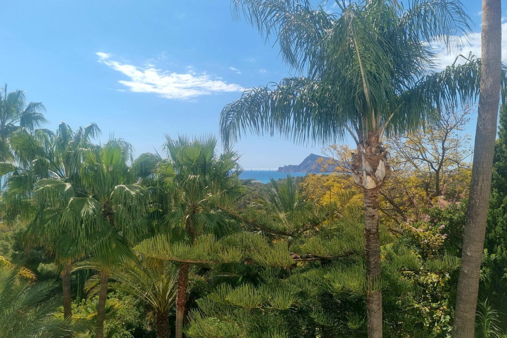 Resale - Commercial Property - Altea - Altea Centro