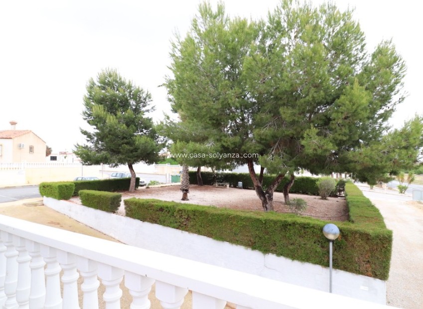 Resale - Commercial - San Miguel de Salinas - Inland