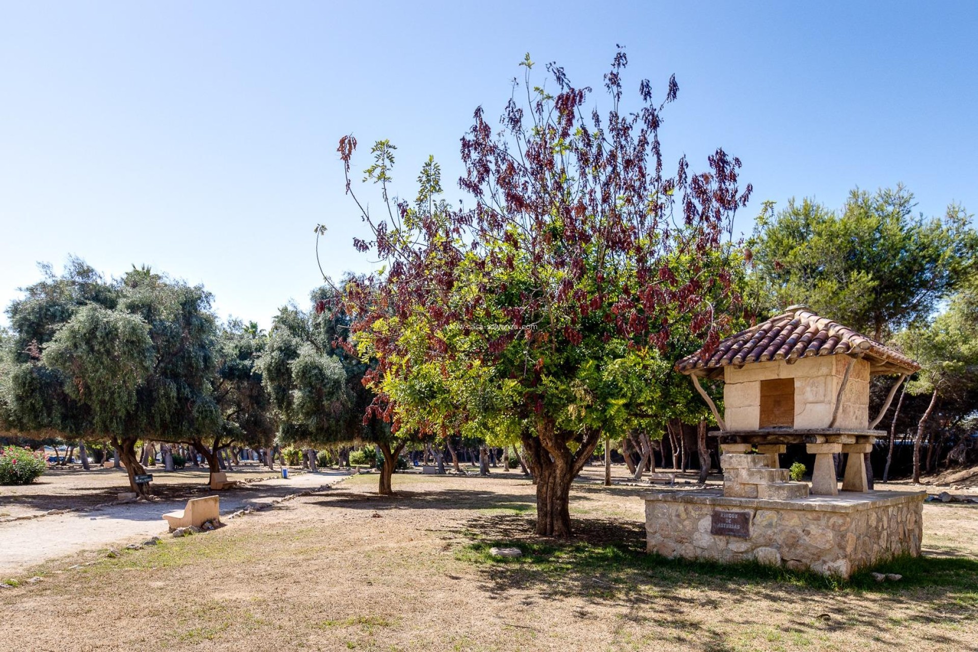 Resale - Commercial - Torrevieja - Acequion