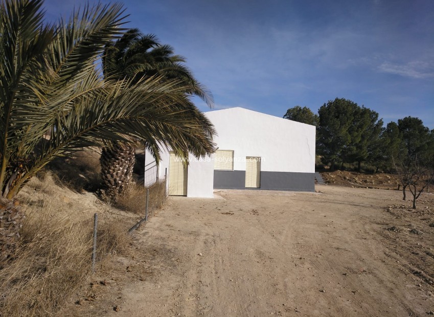 Resale - Commercial - Yecla - Inland