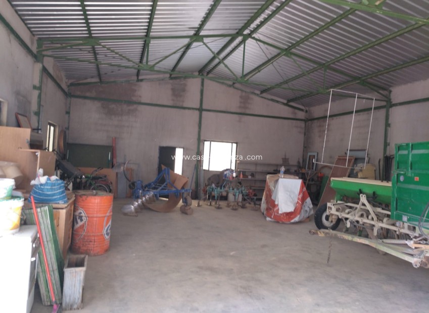 Resale - Commercial - Yecla - Inland
