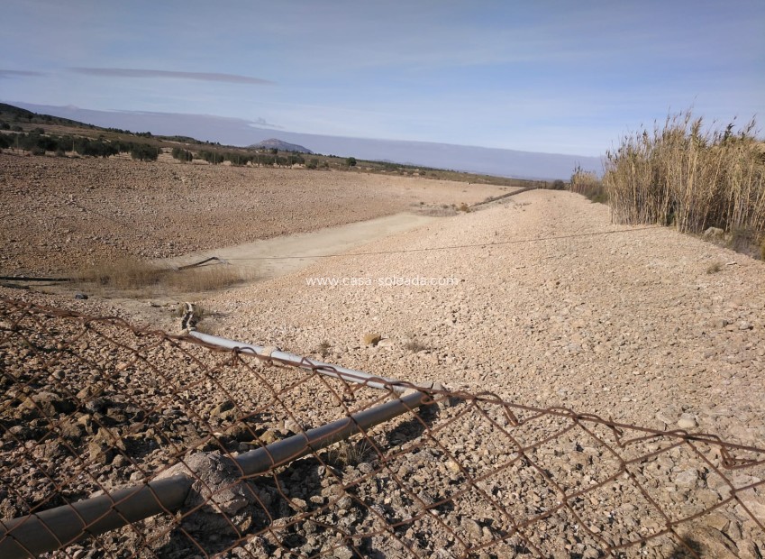 Resale - Commercial - Yecla - Inland