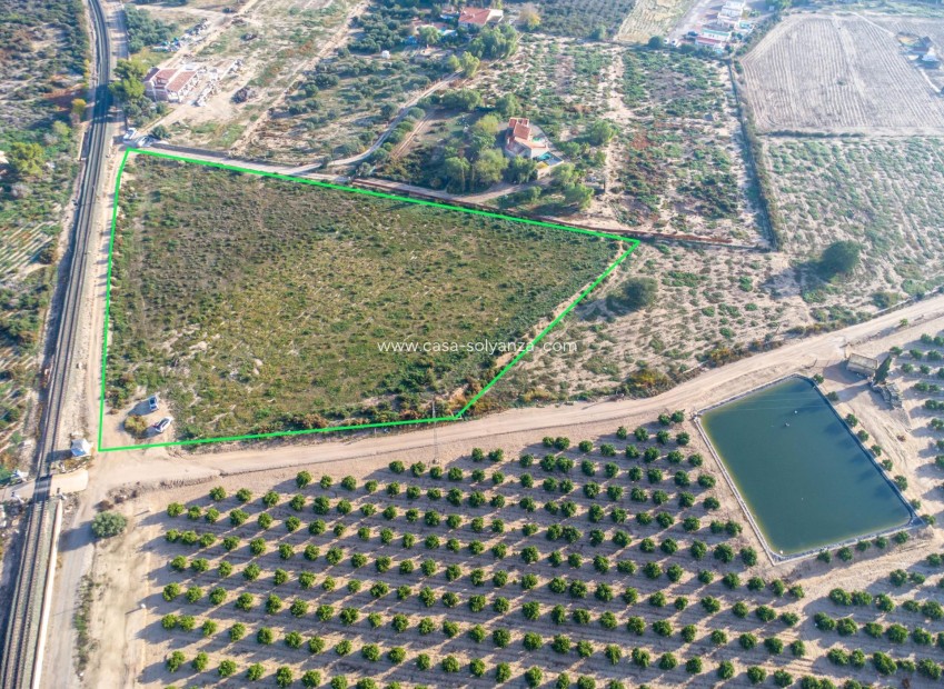 Resale - Country Land - Crevillent - Comunidad valenciana