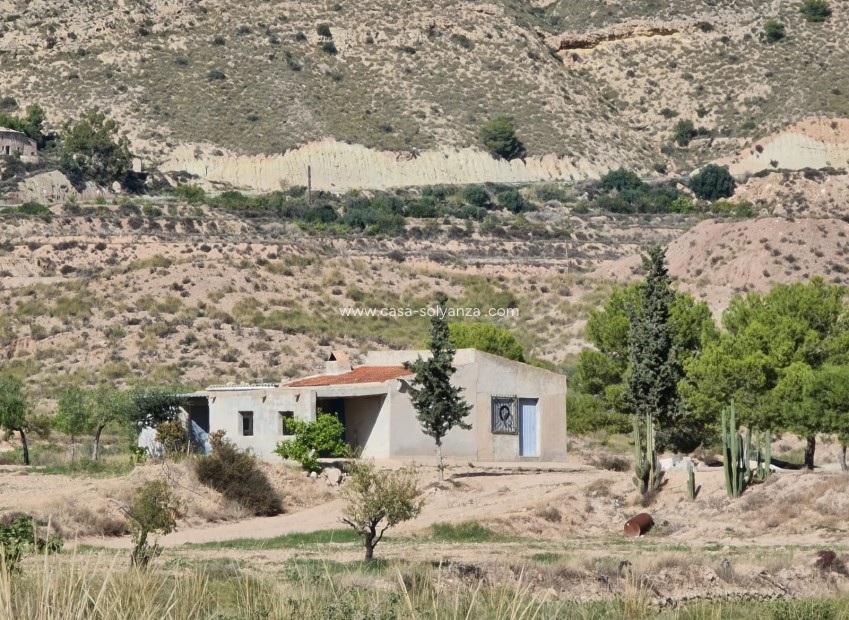 Resale - Country Property/Finca - Abanilla - Inland