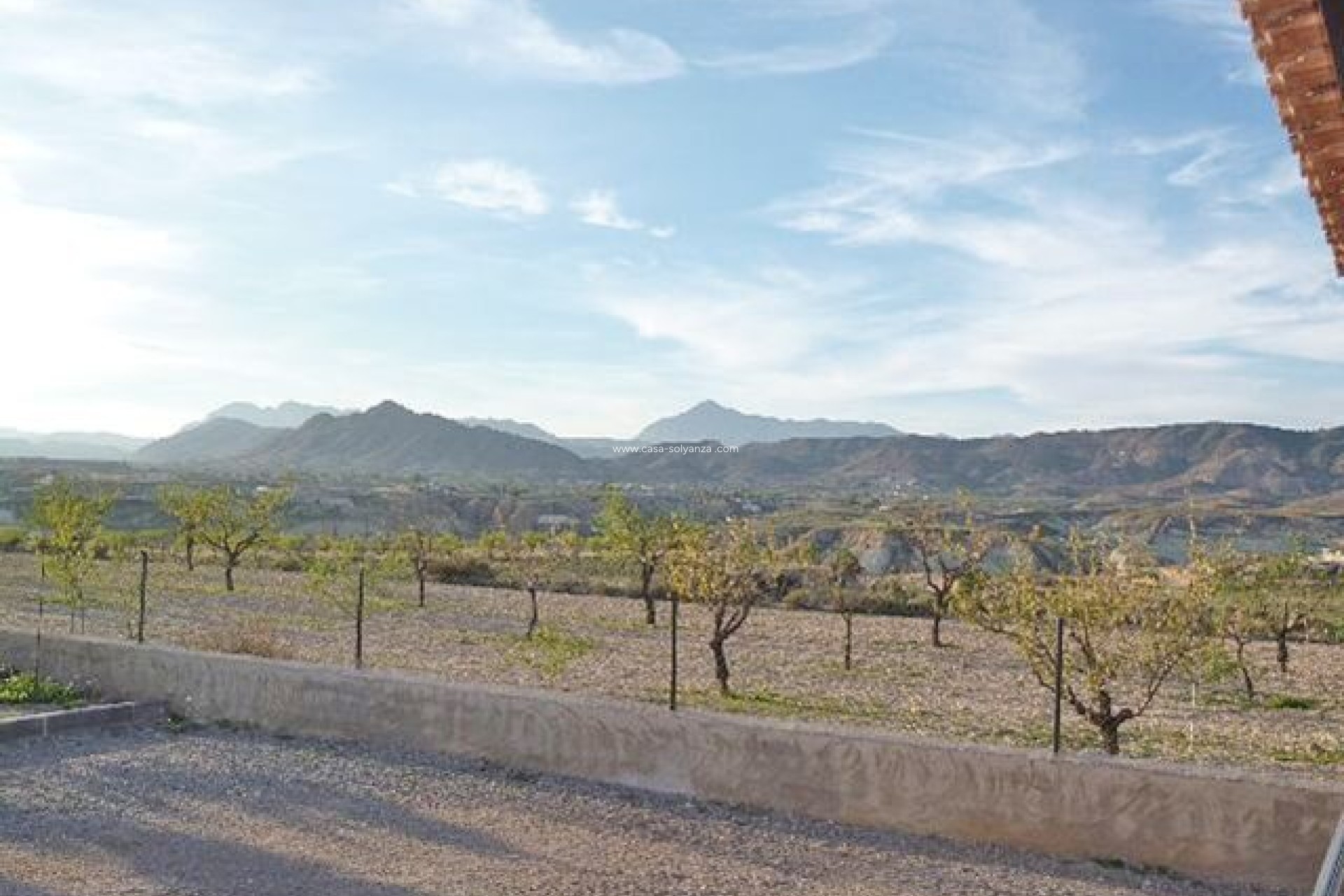 Resale - Country Property/Finca - Abanilla - Inland