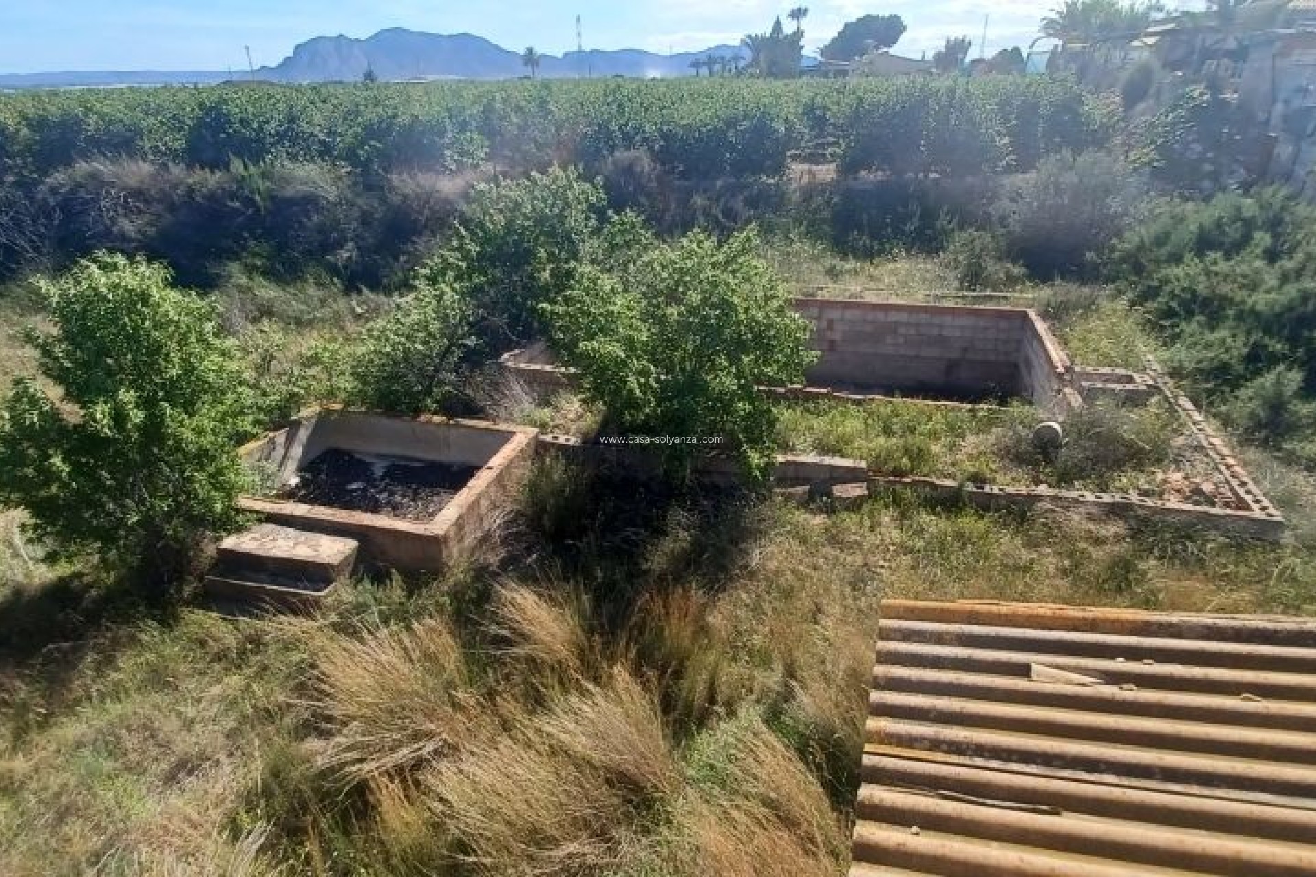 Resale - Country Property/Finca - Albatera - Inland