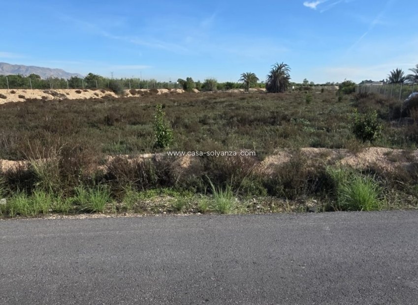 Resale - Country Property/Finca - Albatera - Inland