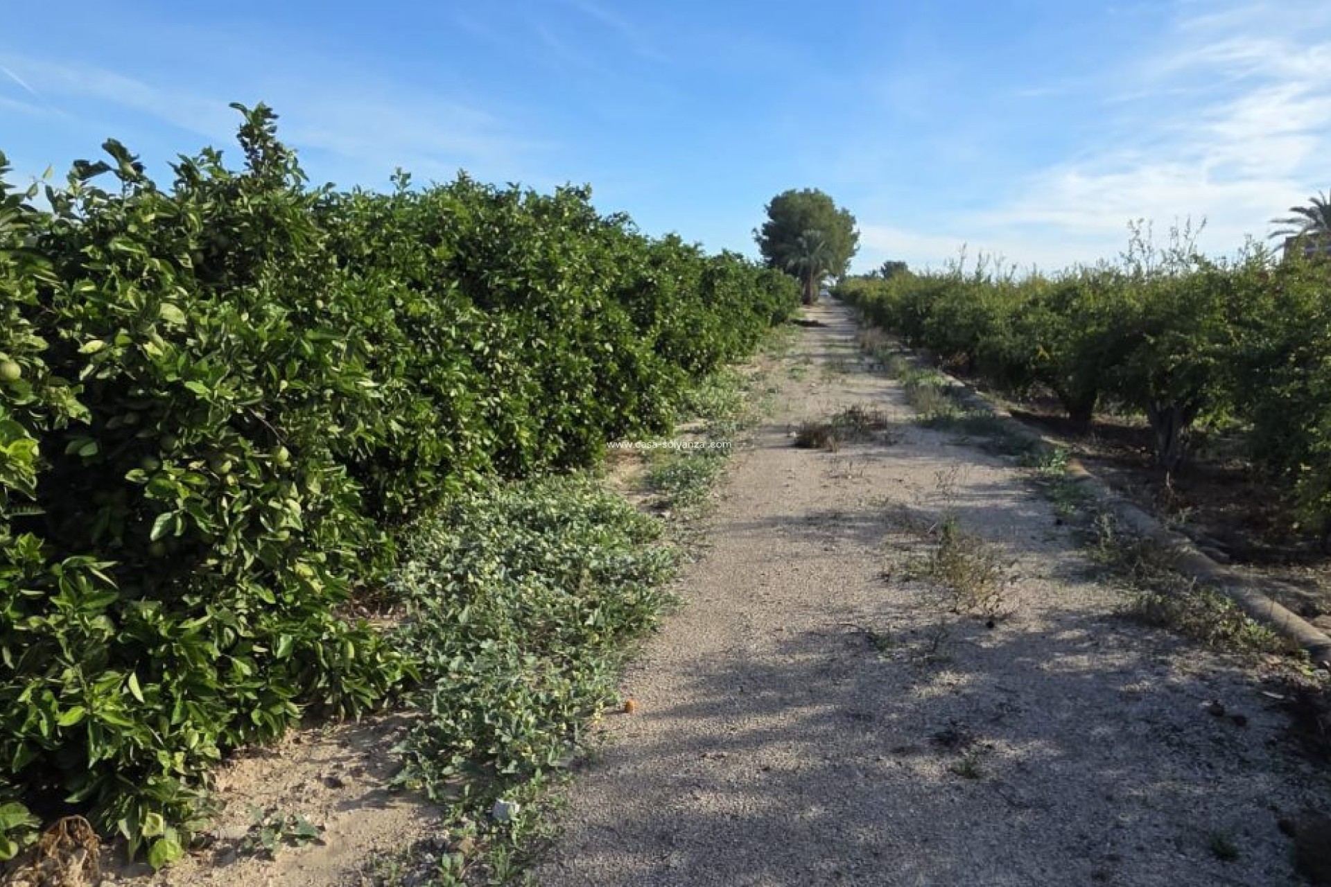 Resale - Country Property/Finca - Albatera - Inland