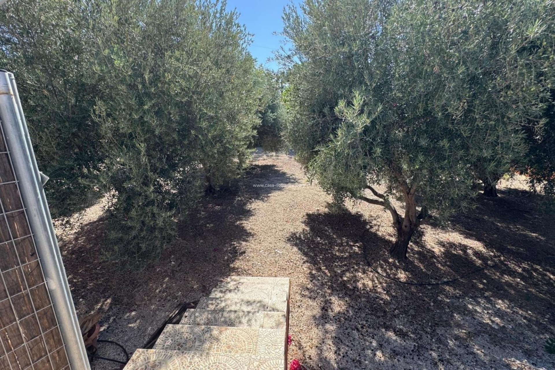 Resale - Country Property/Finca - Albatera - Inland