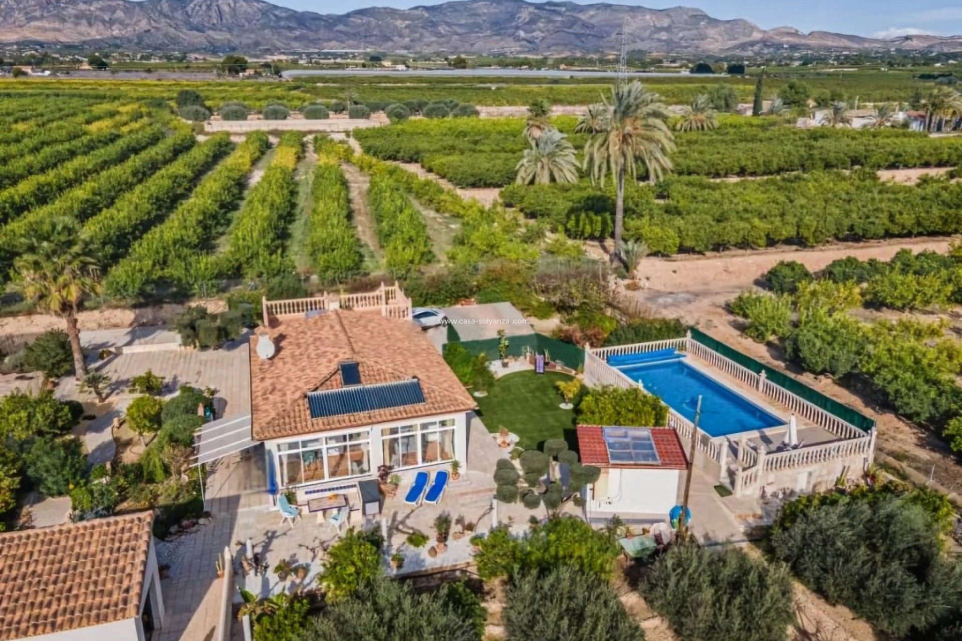 Resale - Country Property/Finca - Albatera