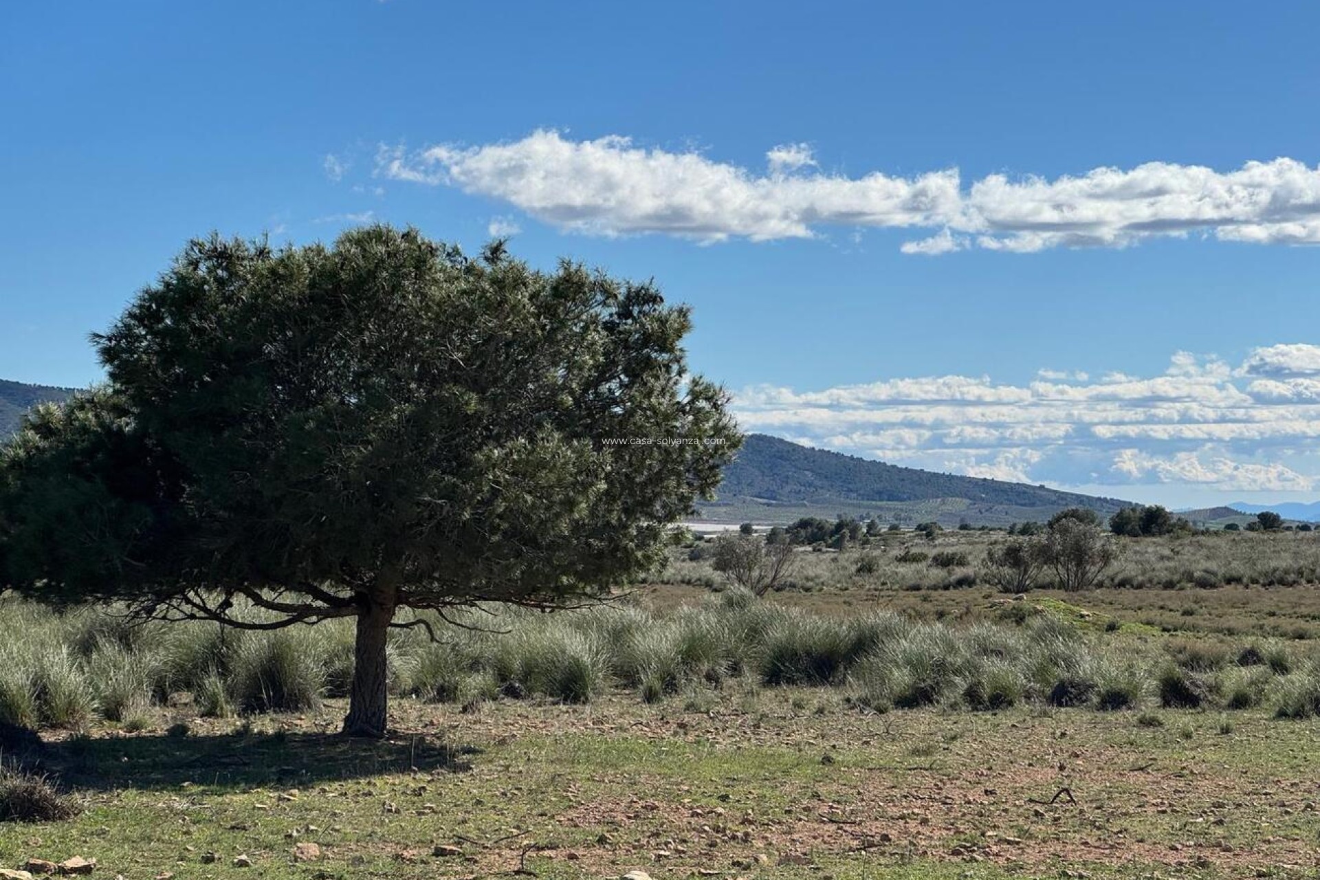 Resale - Country Property/Finca - Aledo - Other