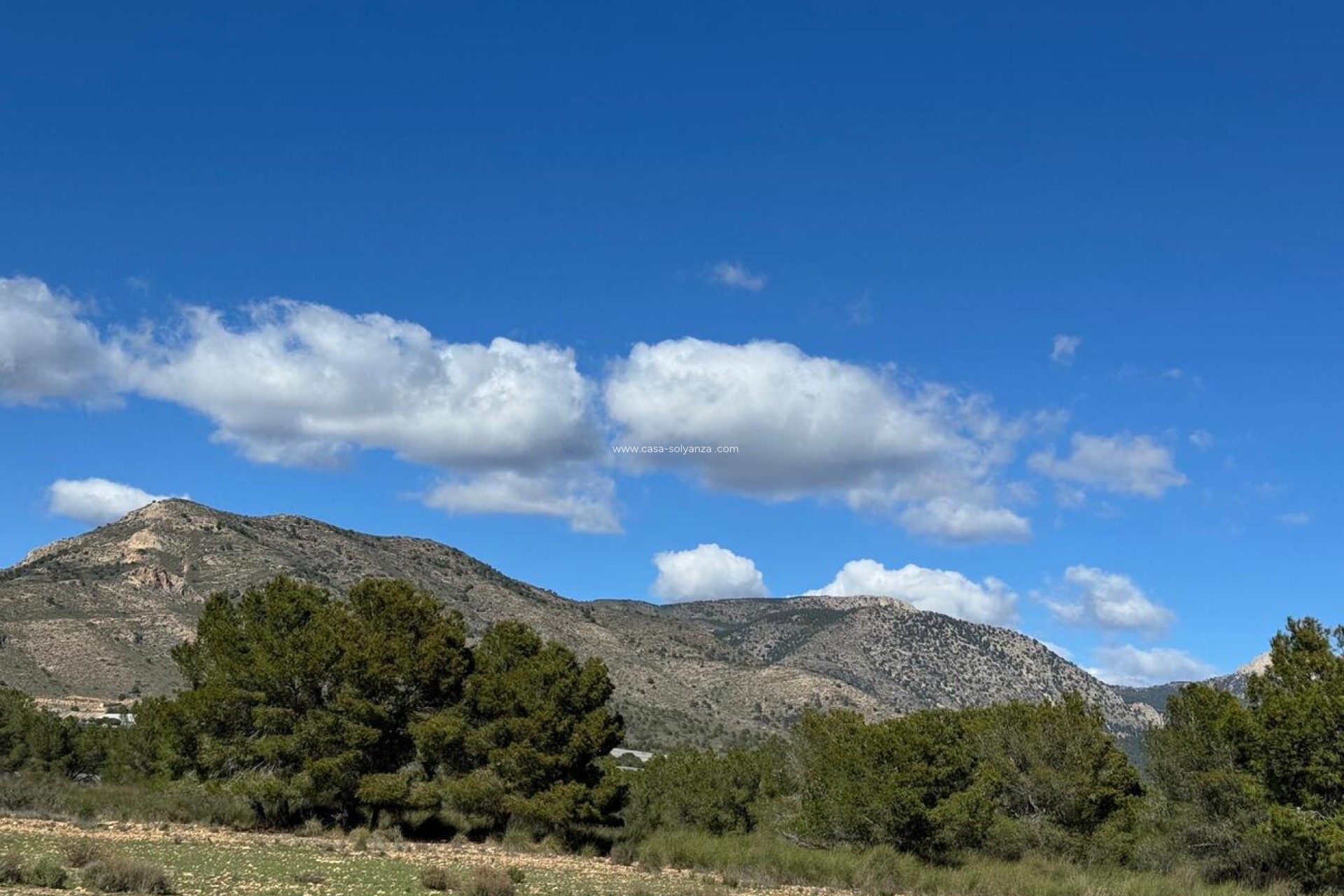 Resale - Country Property/Finca - Aledo - Other