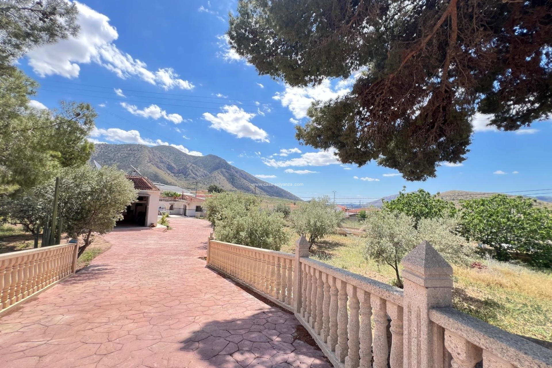 Resale - Country Property/Finca - Algueña - Inland