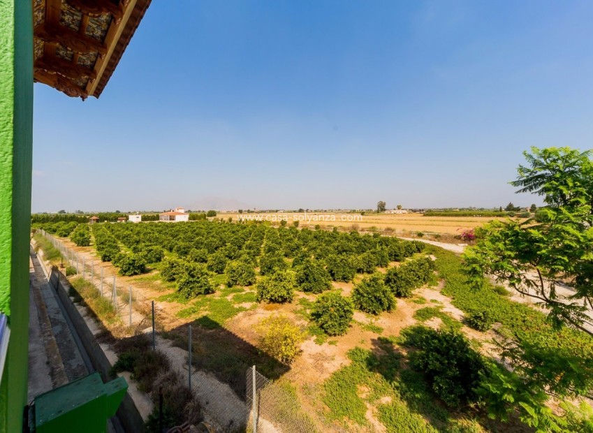 Resale - Country Property/Finca - Almoradí - Camino De Catral