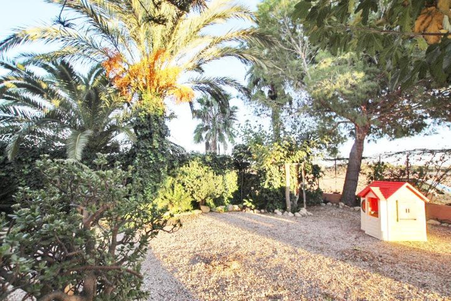 Resale - Country Property/Finca - Almoradí - Comunidad Valenciana