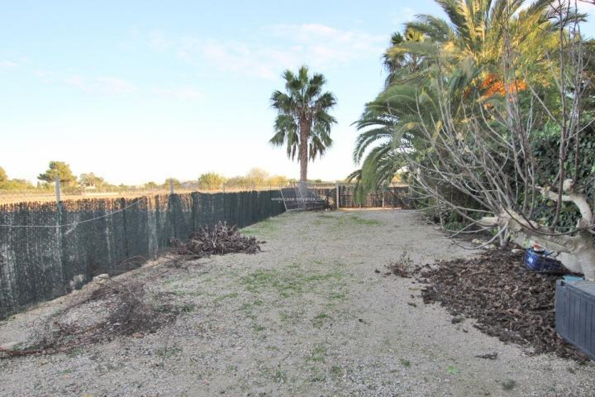 Resale - Country Property/Finca - Almoradí - Comunidad Valenciana