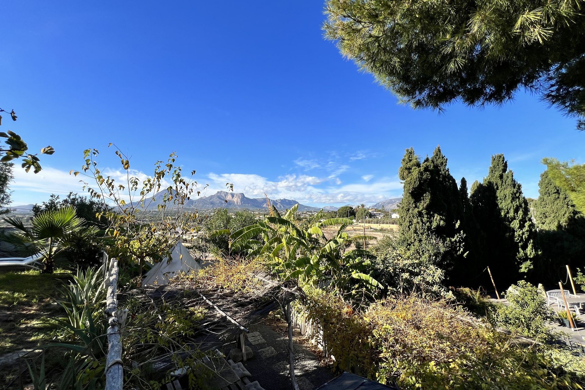 Resale - Country Property/Finca - Altea - Costa Blanca