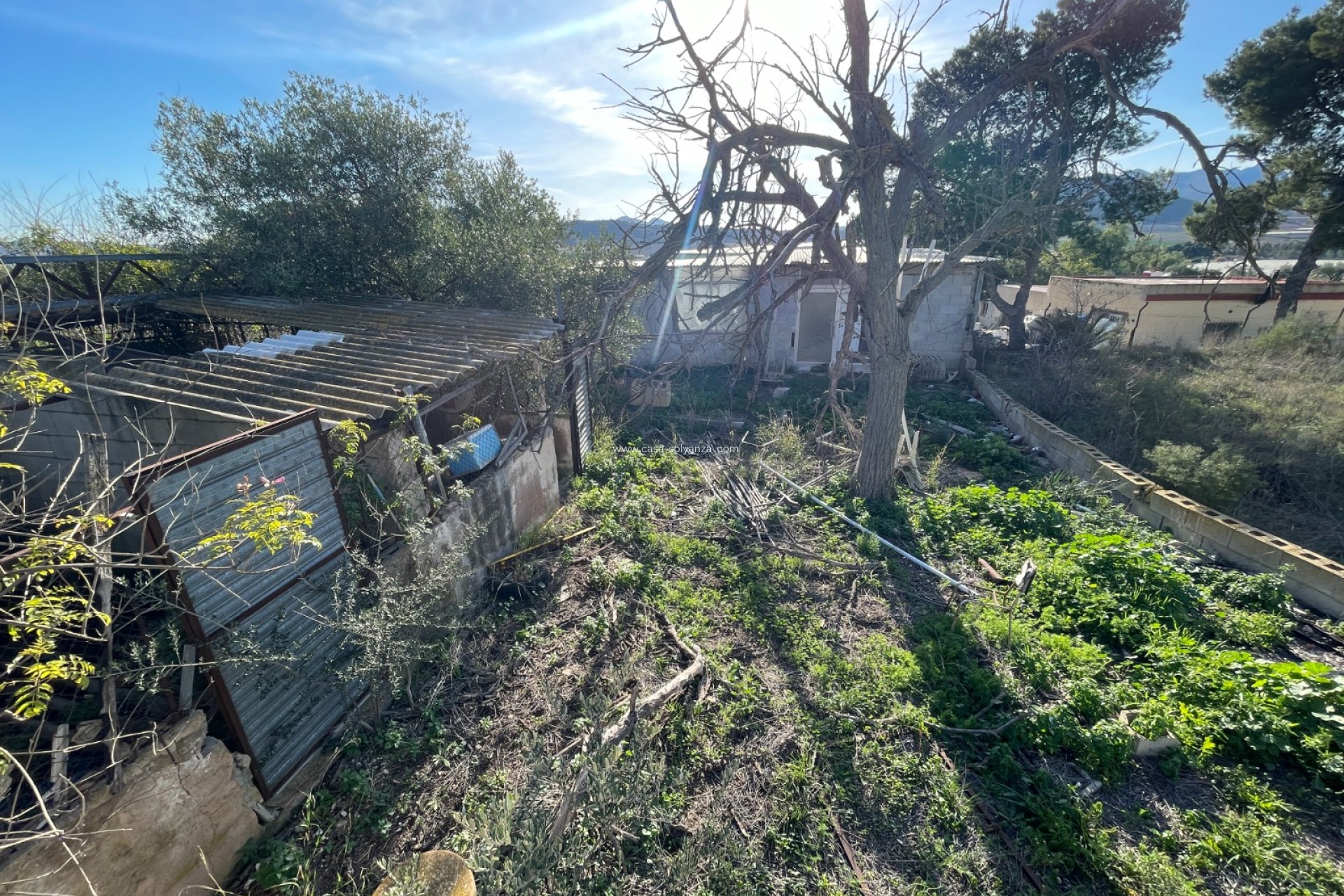 Resale - Country Property/Finca - Aspe - Inland