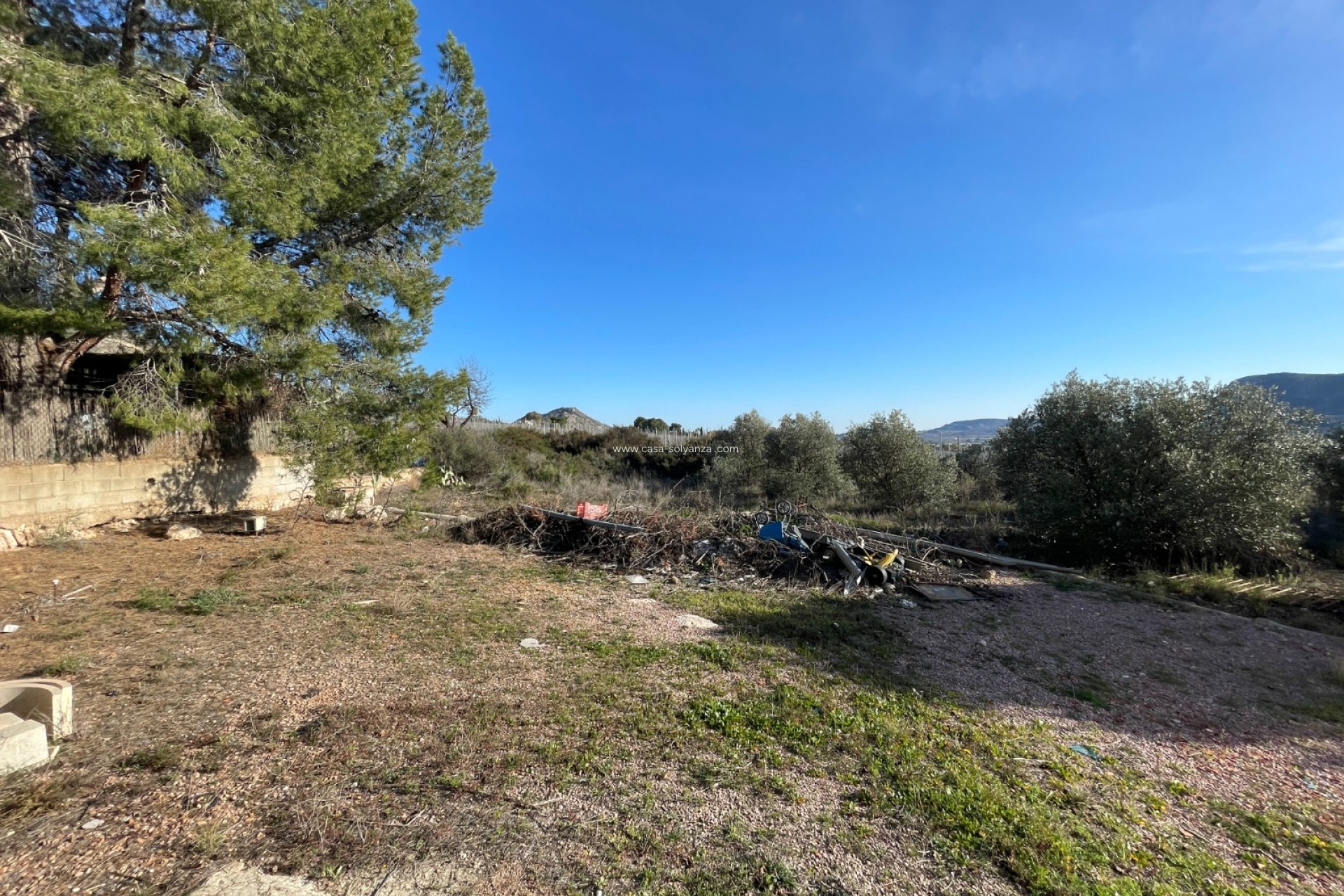 Resale - Country Property/Finca - Aspe - Inland