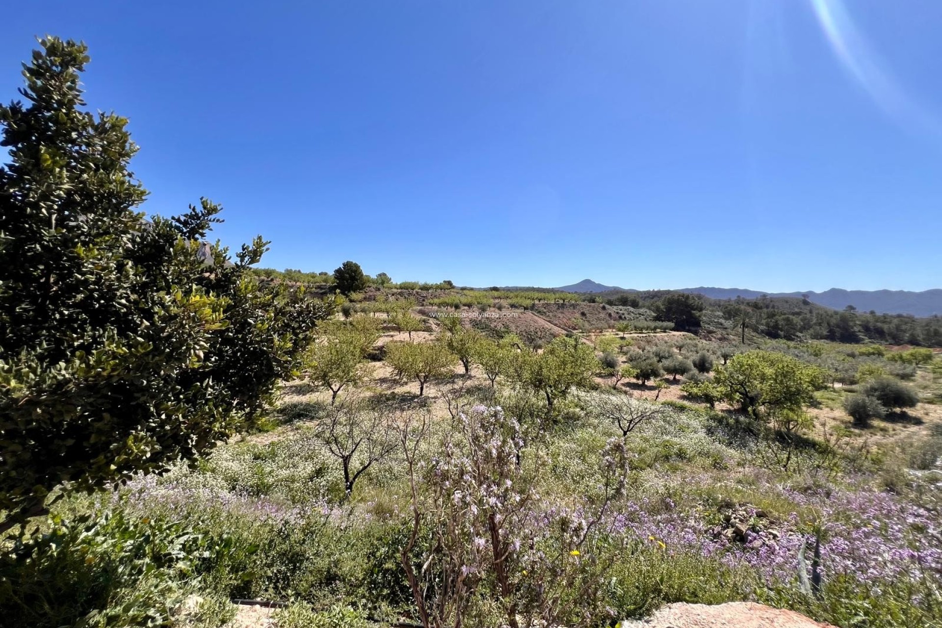 Resale - Country Property/Finca - Barinas - Inland