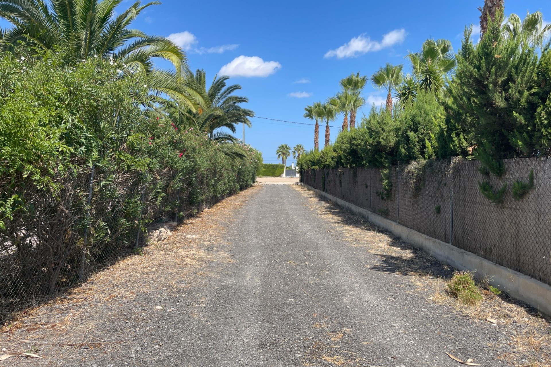 Resale - Country Property/Finca - Benejuzar - Inland