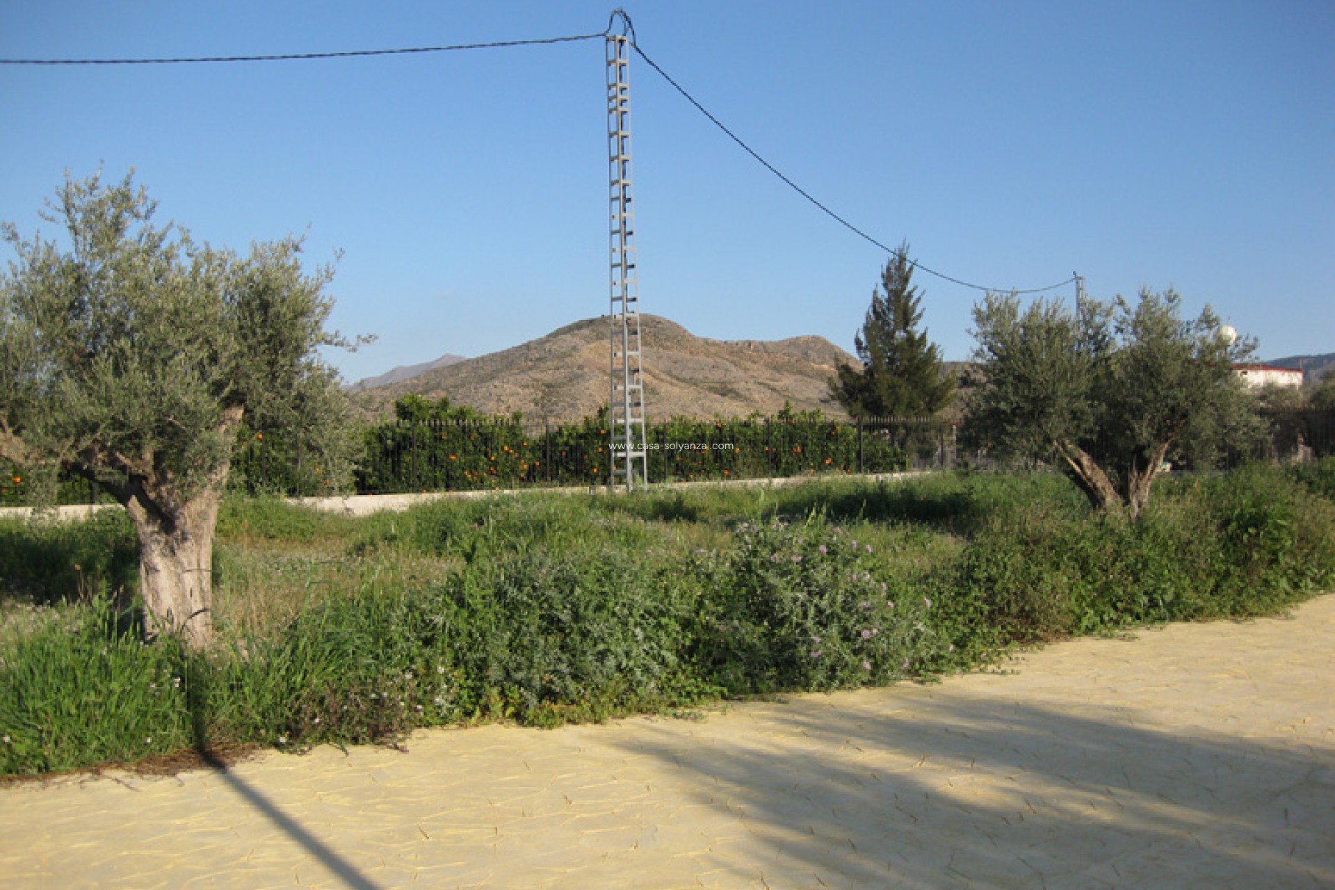 Resale - Country Property/Finca - Benferri - Inland