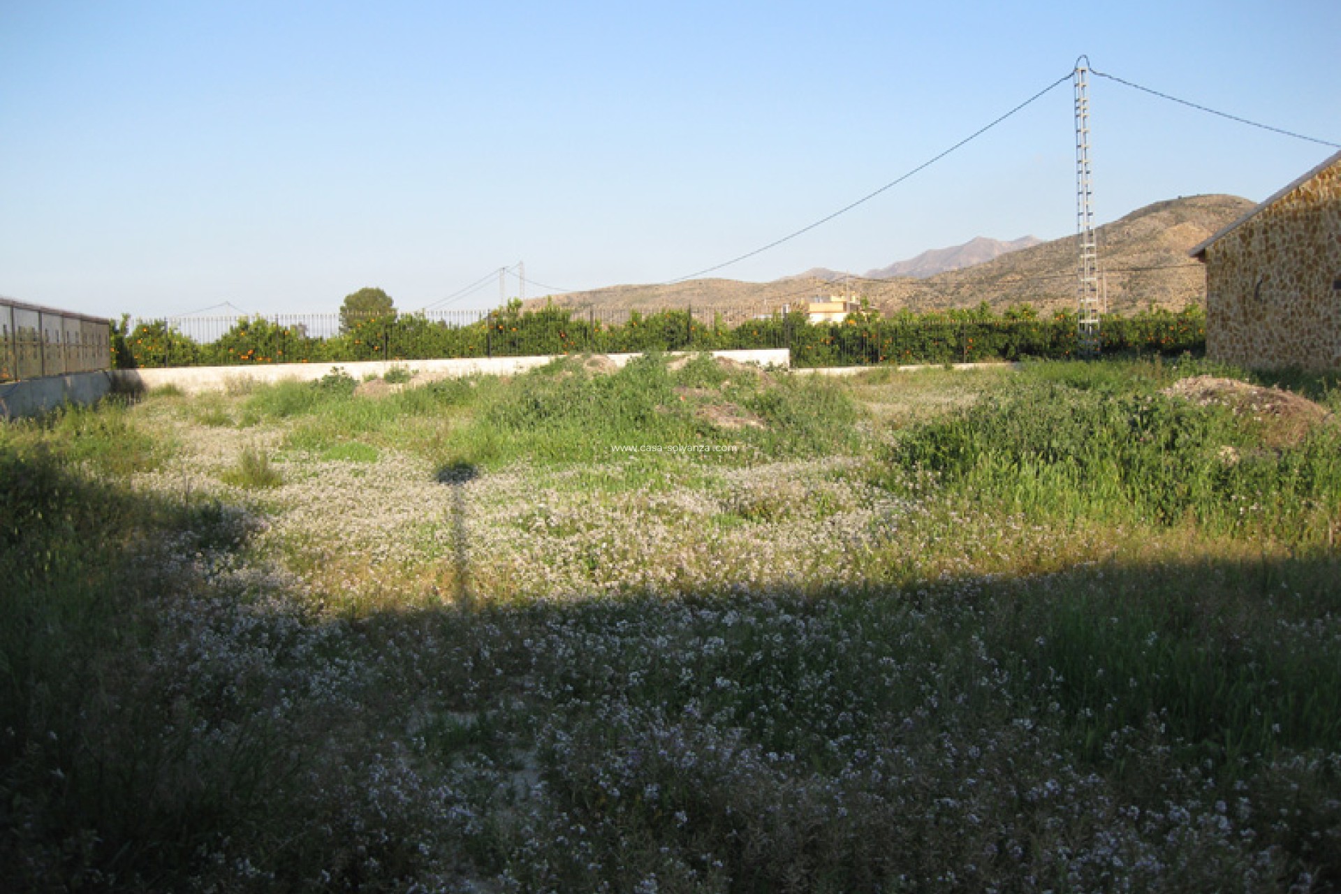 Resale - Country Property/Finca - Benferri - Inland