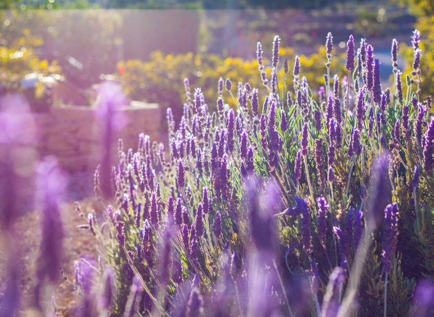 Resale - Country Property/Finca - Benisa - Costa Blanca