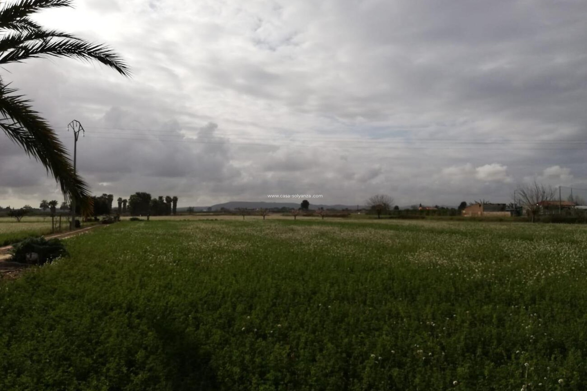 Resale - Country Property/Finca - Callosa de Segura - Costa Blanca