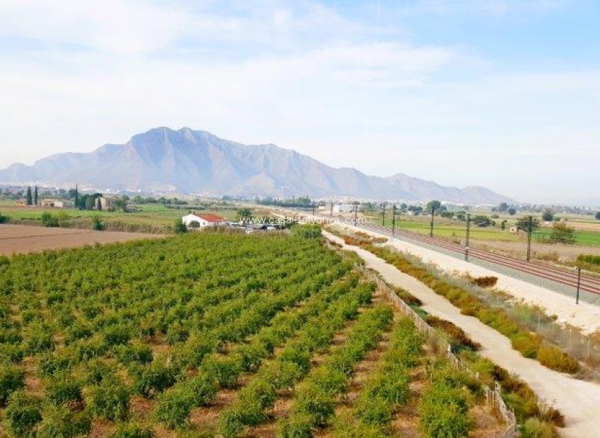 Resale - Country Property/Finca - Callosa de Segura - Inland