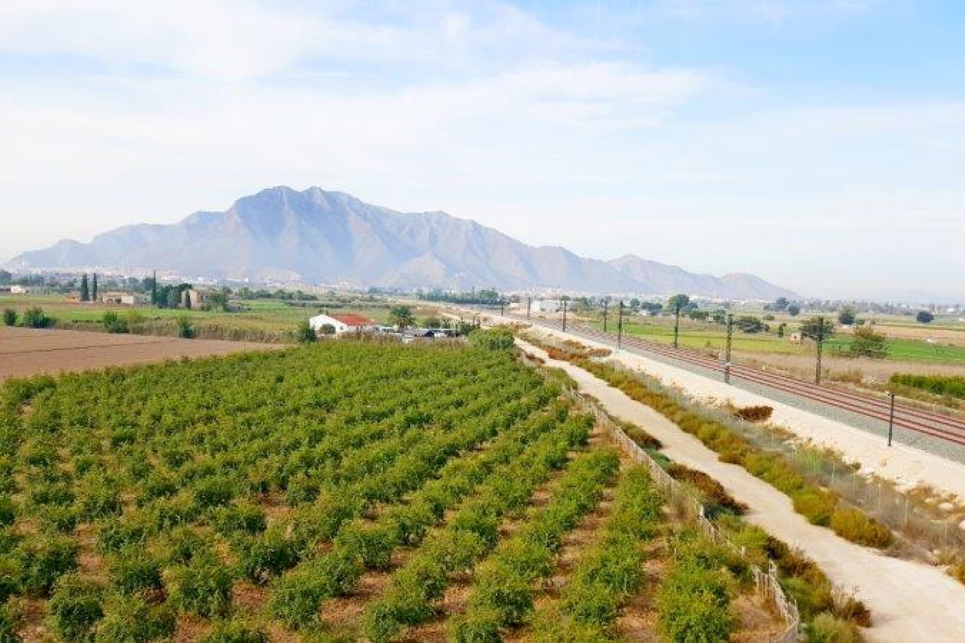 Resale - Country Property/Finca - Callosa de Segura - Inland