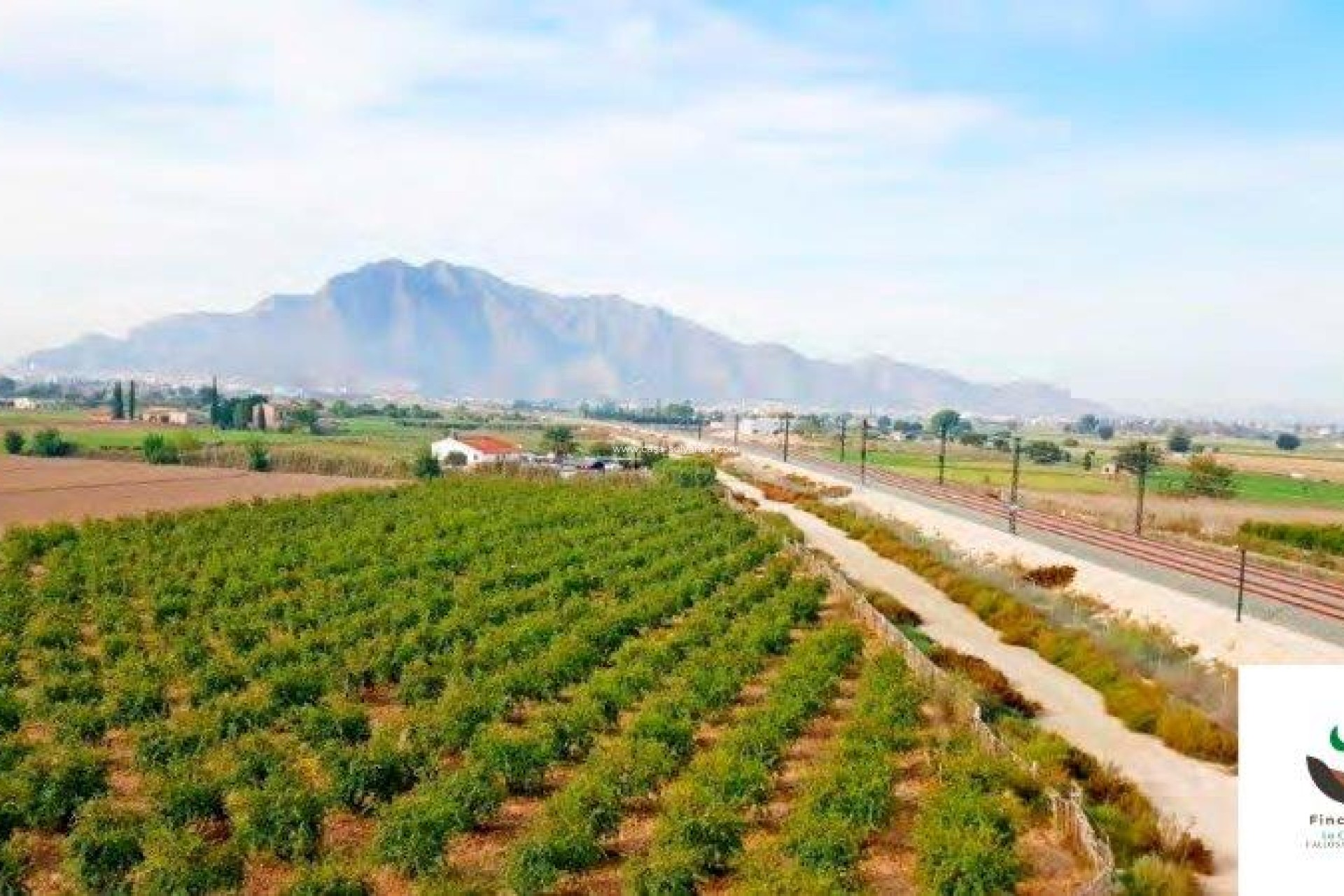 Resale - Country Property/Finca - Callosa de Segura - Inland