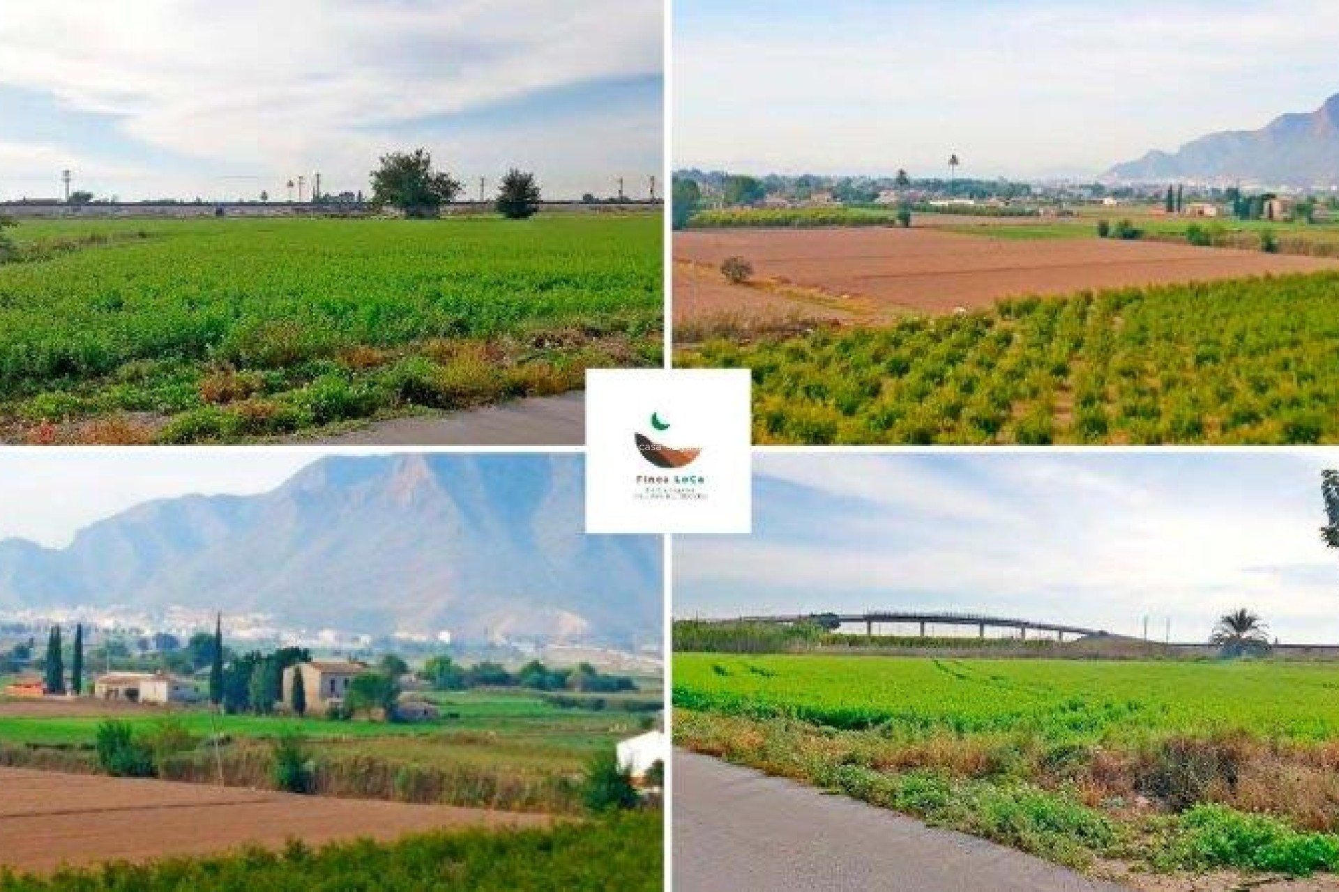 Resale - Country Property/Finca - Callosa de Segura - Inland