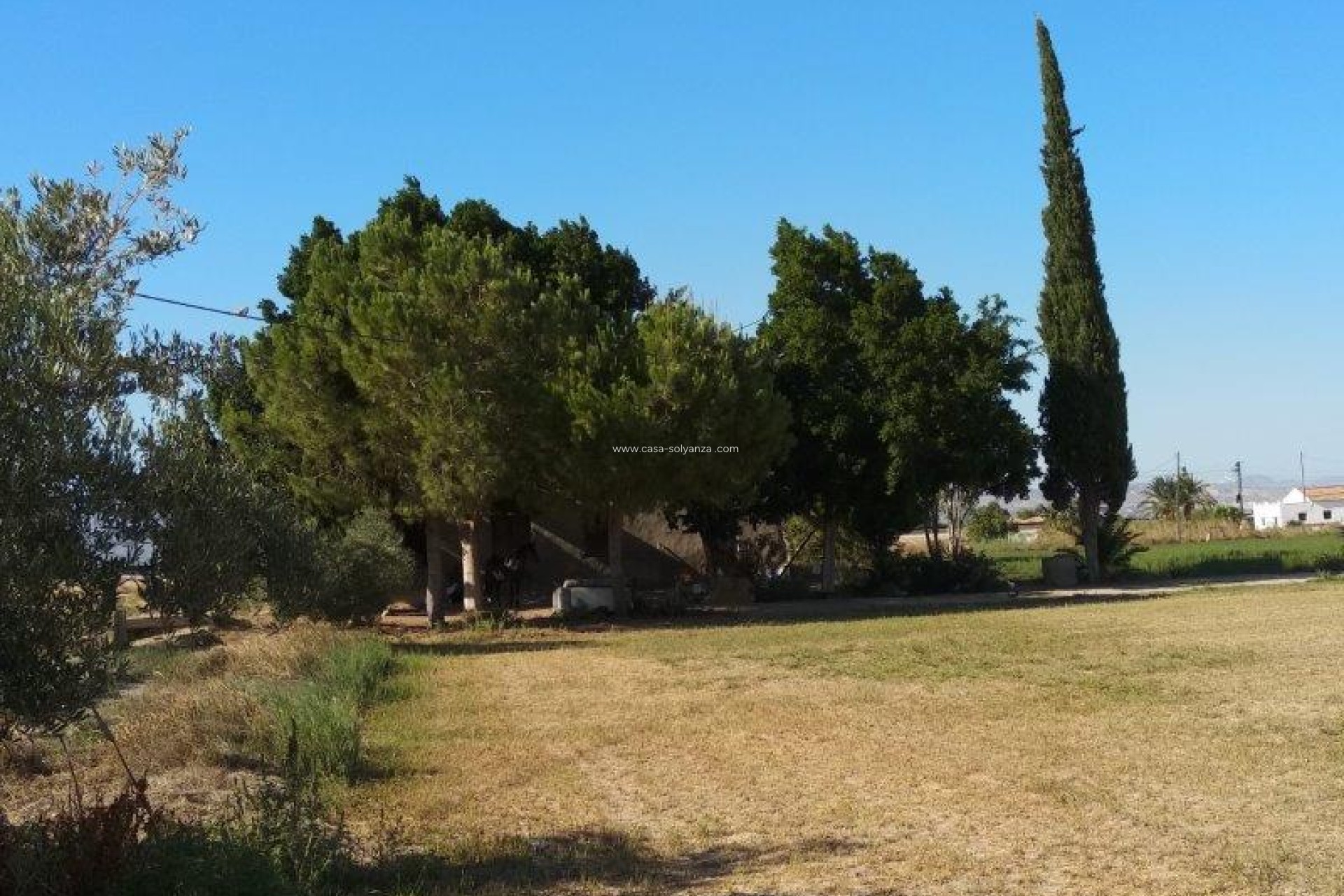 Resale - Country Property/Finca - Callosa de Segura - Inland
