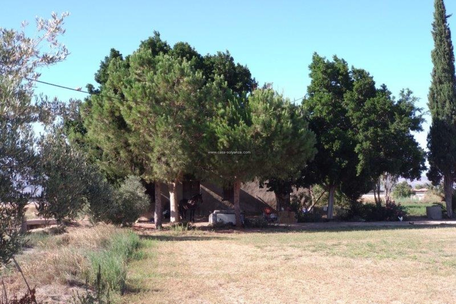 Resale - Country Property/Finca - Callosa de Segura - Inland