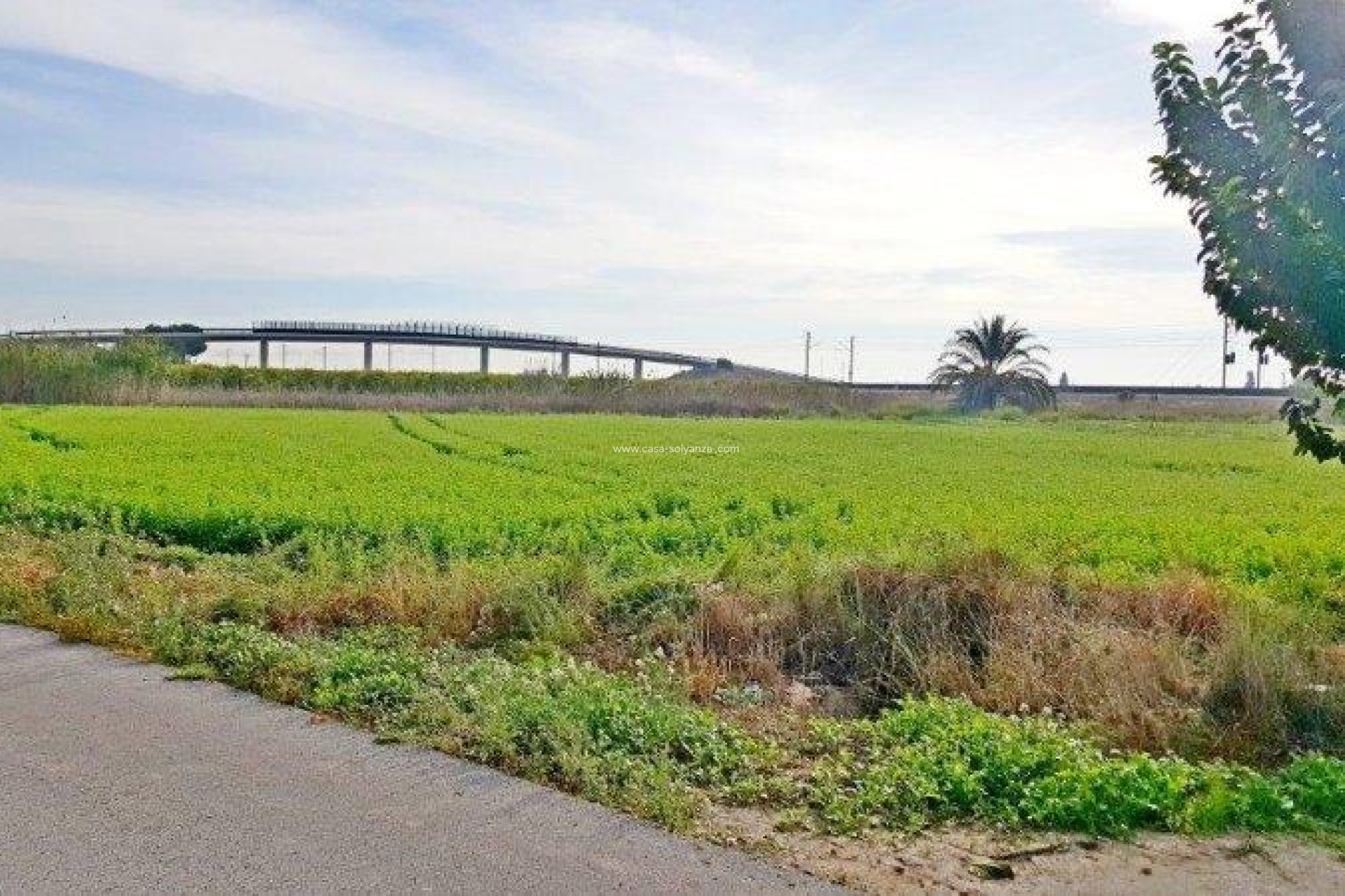 Resale - Country Property/Finca - Callosa de Segura - Inland