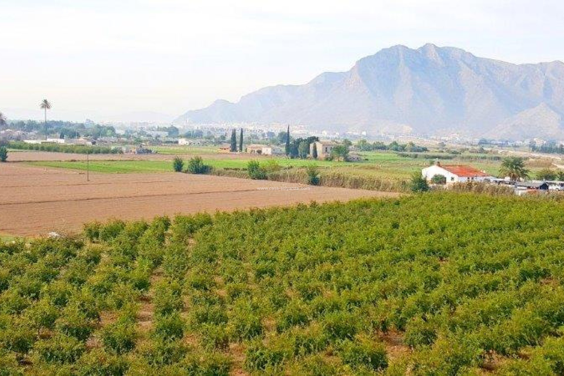 Resale - Country Property/Finca - Callosa de Segura - Inland