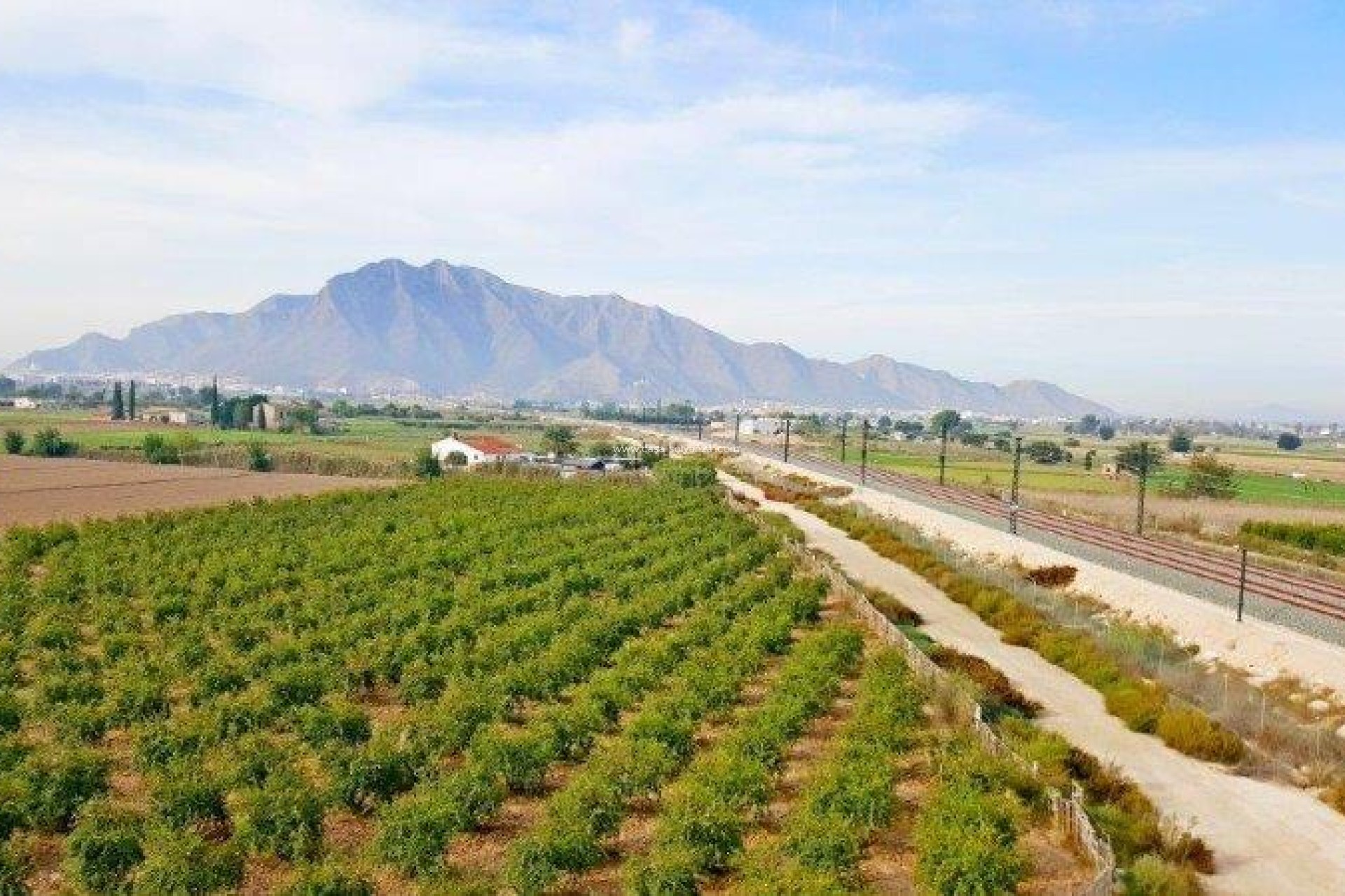 Resale - Country Property/Finca - Callosa de Segura - Inland