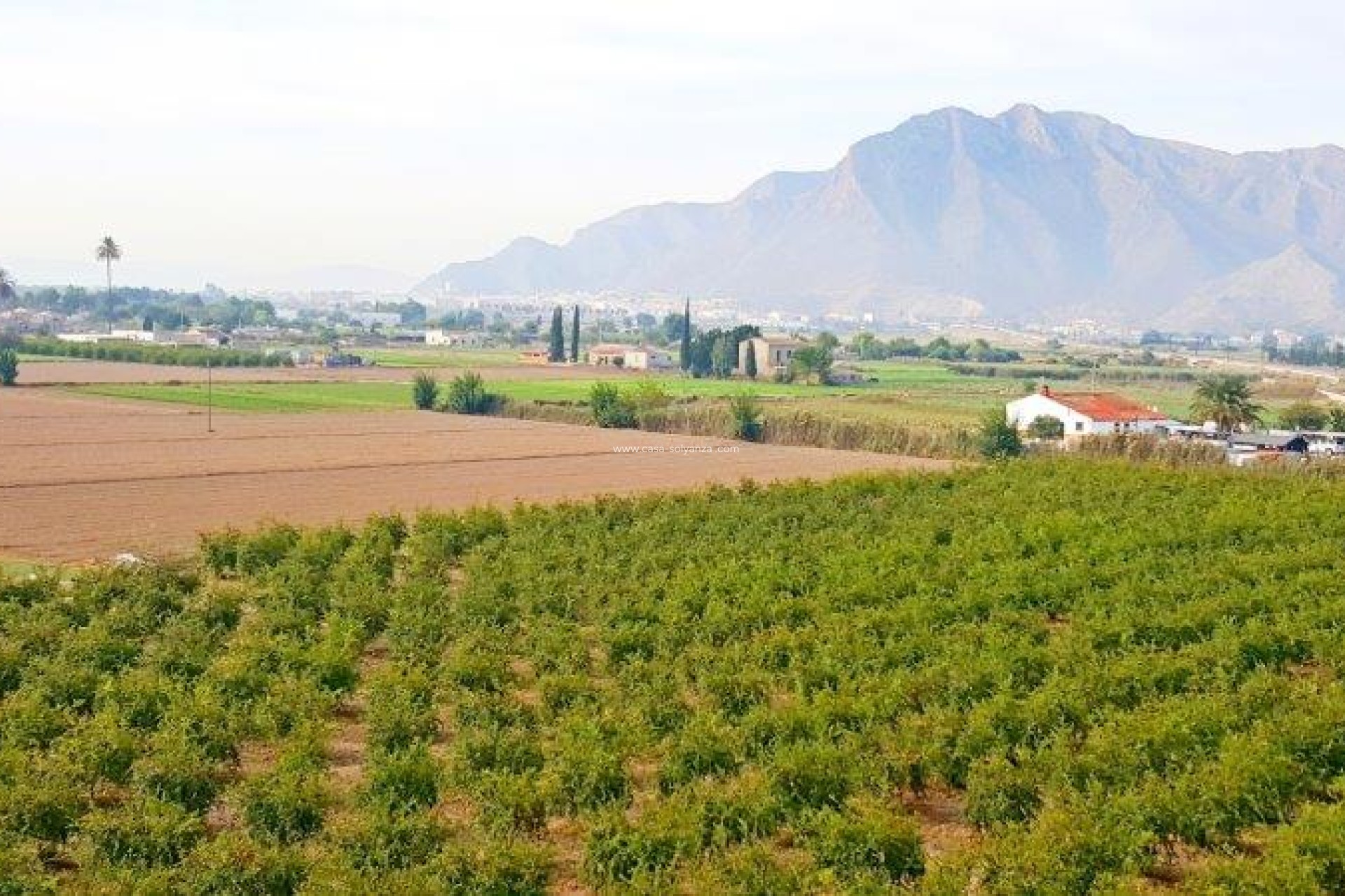 Resale - Country Property/Finca - Callosa de Segura - Inland
