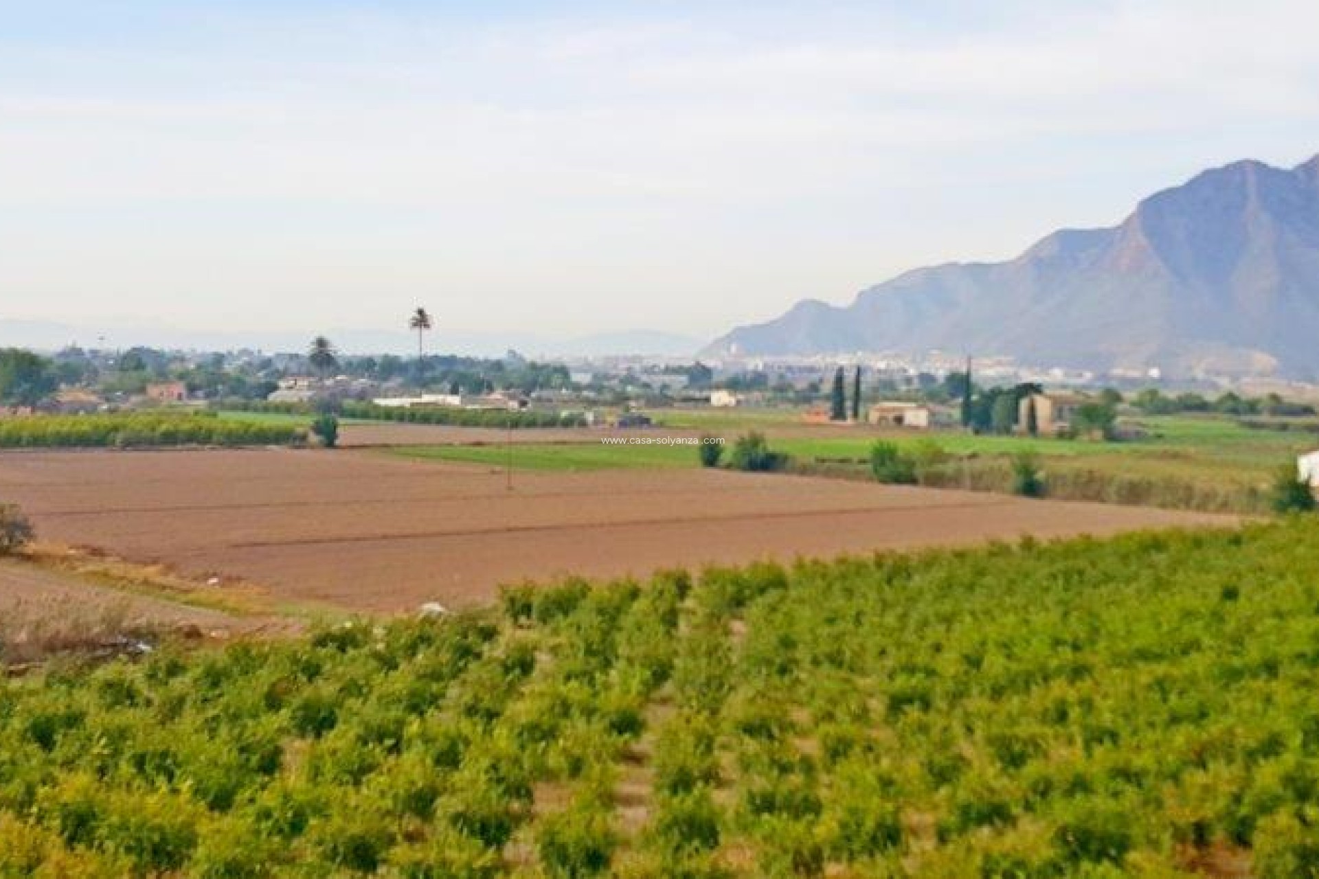 Resale - Country Property/Finca - Callosa de Segura - Inland