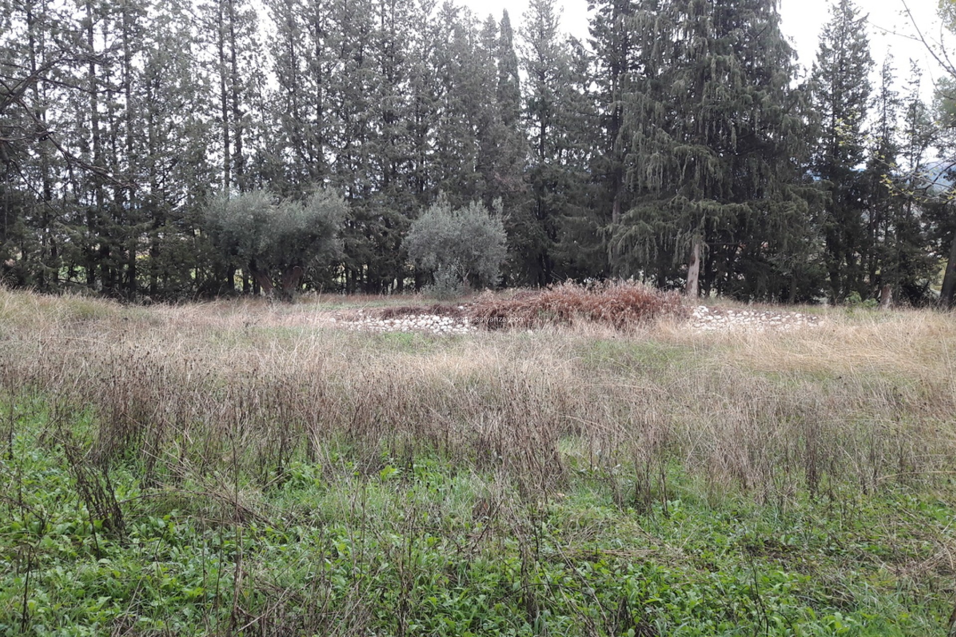 Resale - Country Property/Finca - Caravaca de la Cruz - Inland