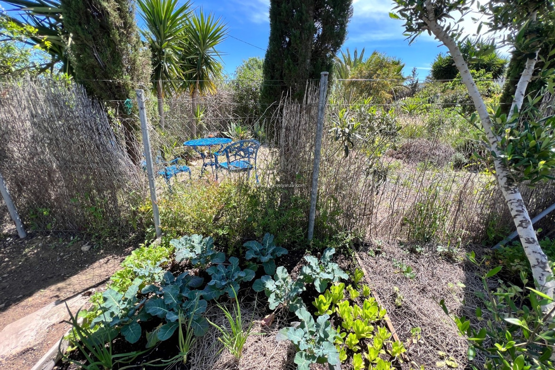 Resale - Country Property/Finca - Cartagena - Costa Calida