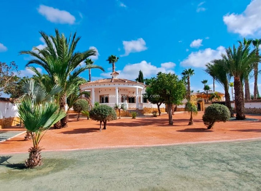 Resale - Country Property/Finca - Catral - Catral - Country