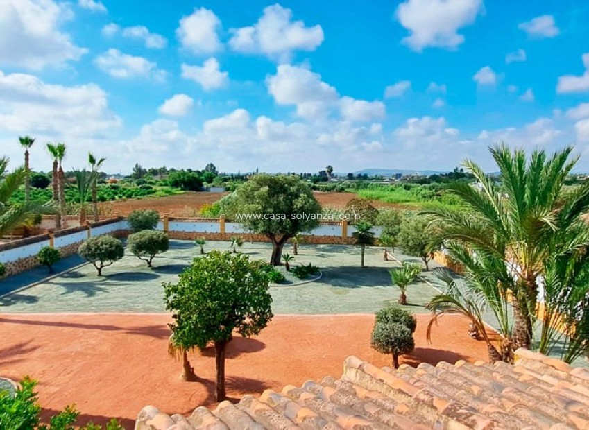 Resale - Country Property/Finca - Catral - Catral - Country