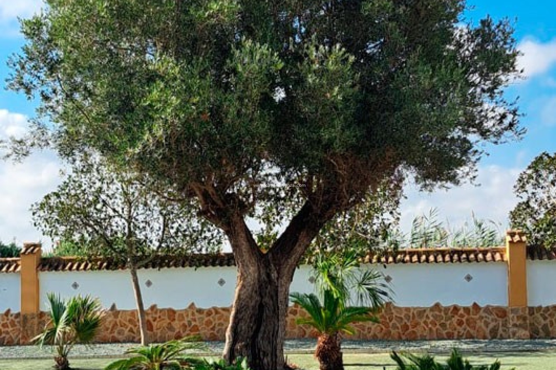 Resale - Country Property/Finca - Catral - Catral - Country